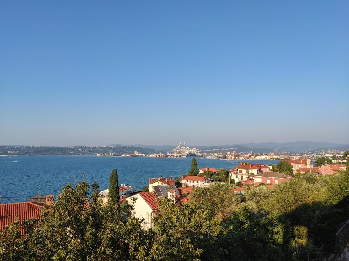 Rea * Koper